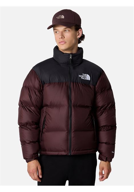 Giubbotto retro nuptse The North Face THE NORTH FACE | Giubbotti | NF0A3C8DLOS1
